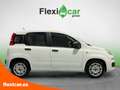 Fiat Panda City Cross 1.0 Gse 51kw (70CV) Blanco - thumbnail 4