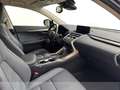 Lexus NX 300 300h 2.5 premium 4wd cvt Nero - thumbnail 10