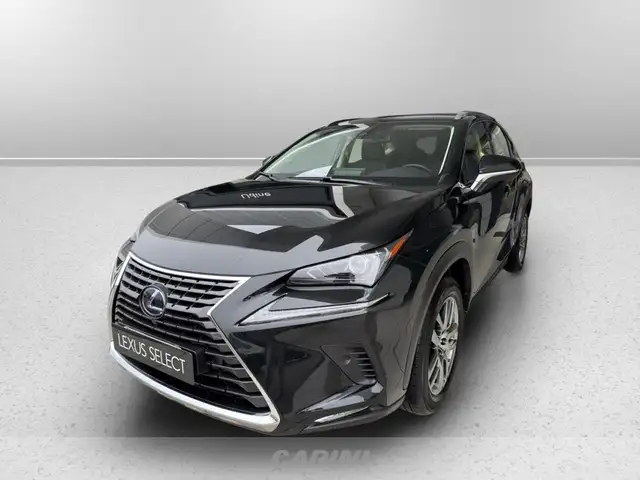 Lexus NX 300 300h 2.5 premium 4wd cvt
