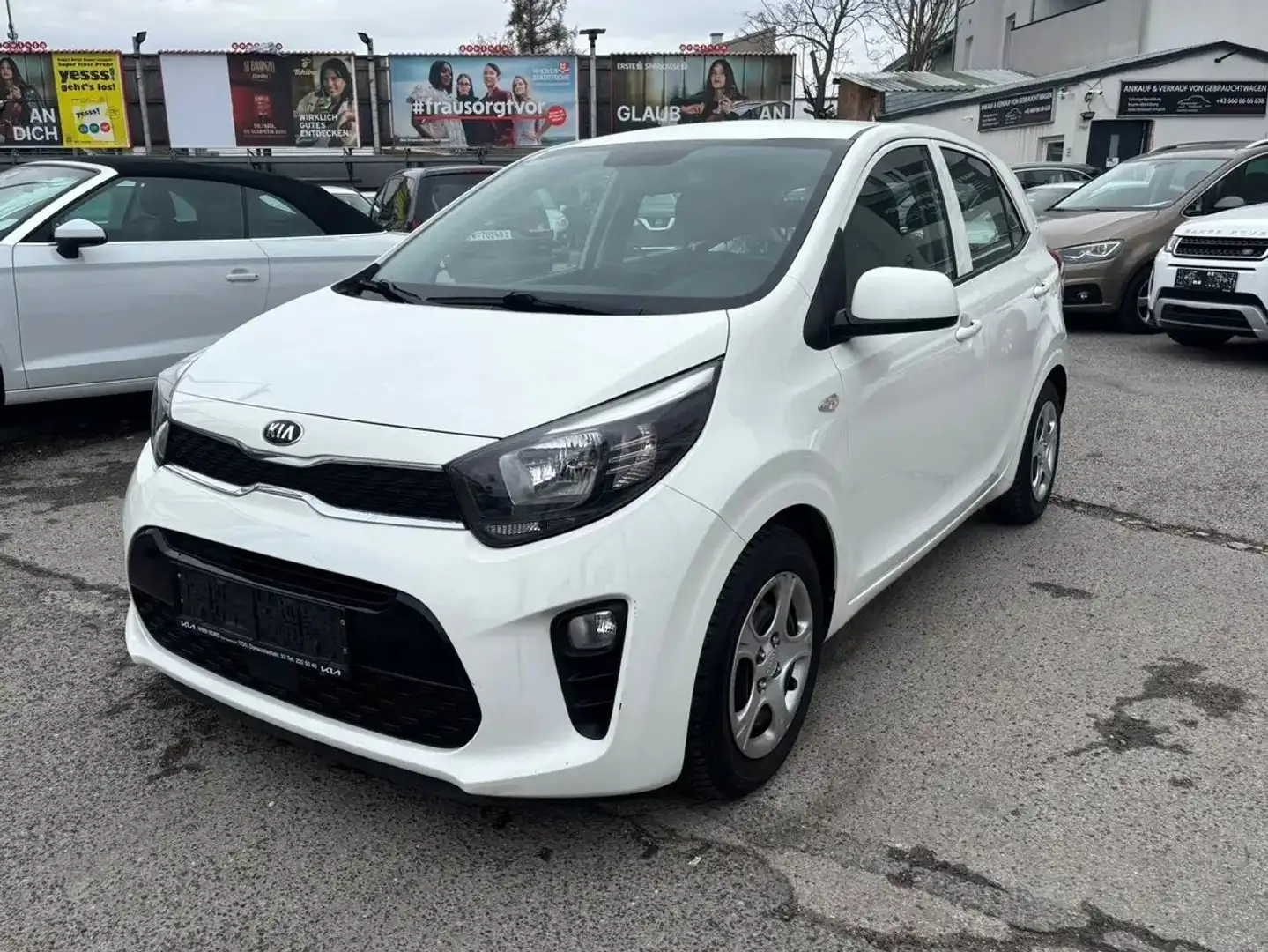 Kia Picanto 1,0 MPI kleines Stadtauto im Topzustand PICKERL Weiß - 1