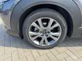 Mazda CX-30 2.5 (140PS) FWD Schalter Exclusive Allwett Grau - thumbnail 12