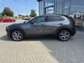 Mazda CX-30 2.5 (140PS) FWD Schalter Exclusive Allwett Grau - thumbnail 4