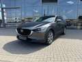 Mazda CX-30 2.5 (140PS) FWD Schalter Exclusive Allwett Grau - thumbnail 3