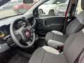 Fiat Panda 1.2 Easy - OK NEOPATENTATI Rosso - thumbnail 10