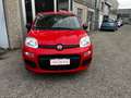 Fiat Panda 1.2 Easy - OK NEOPATENTATI Rosso - thumbnail 2
