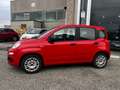Fiat Panda 1.2 Easy - OK NEOPATENTATI Rosso - thumbnail 5