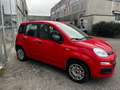 Fiat Panda 1.2 Easy - OK NEOPATENTATI Rosso - thumbnail 9