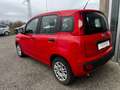 Fiat Panda 1.2 Easy - OK NEOPATENTATI Rosso - thumbnail 7
