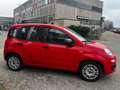Fiat Panda 1.2 Easy - OK NEOPATENTATI Rosso - thumbnail 8