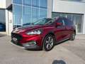 Ford Focus Active Rot - thumbnail 12