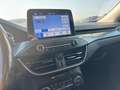 Ford Focus Active Rot - thumbnail 22