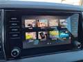 Skoda Karoq Style 2.0 TDI+Alufelgen+Navi+Klimaautomatik+Sitzhe Grau - thumbnail 10