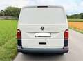 Volkswagen T6 Transporter T6 LR 75 Langversion Klima - thumbnail 5