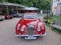 Jaguar MK II Daimler 2.5 V8 Rot - thumbnail 15