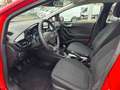 Ford Fiesta C&C *Winter-Paket* Rot - thumbnail 9