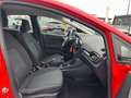 Ford Fiesta C&C *Winter-Paket* Rot - thumbnail 10