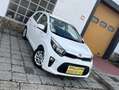Kia Picanto 1.2i 5 Portes//GPS//Caméra//Jantes//Euro 6d-TEMP Blanco - thumbnail 1