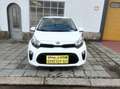 Kia Picanto 1.2i 5 Portes//GPS//Caméra//Jantes//Euro 6d-TEMP Blanco - thumbnail 2