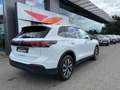 Volkswagen Tiguan Tiguan 1.5 eTSI  DSG United Wit - thumbnail 3