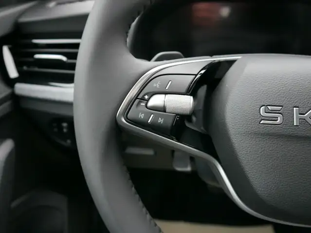 Skoda Scala view 13