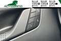 Porsche 992 Carrera 4 GTS 992.2 *Alcantara-LED Matrix-Finanz* Verde - thumbnail 13