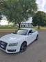 Audi A5 Sportback 2.0 tdi Advanced - thumbnail 1