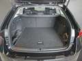 Skoda Octavia Essence TSI Schwarz - thumbnail 15