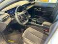 Lancia Ypsilon IBRIDA LX 1.2 100CV Blanc - thumbnail 5