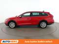 Skoda Octavia 2.0 TDI Scout 4x4 Rot - thumbnail 3