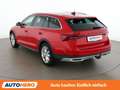 Skoda Octavia 2.0 TDI Scout 4x4 Rot - thumbnail 4
