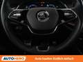 Skoda Octavia 2.0 TDI Scout 4x4 Rot - thumbnail 19