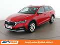 Skoda Octavia 2.0 TDI Scout 4x4 Rot - thumbnail 1