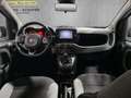 Fiat Panda Panda 4x4  5p   0.9 TwinAir Turbo S&S 85cv 6m WILD Beige - thumbnail 13
