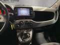 Fiat Panda Panda 4x4  5p   0.9 TwinAir Turbo S&S 85cv 6m WILD Beige - thumbnail 14