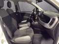 Fiat Panda Panda 4x4  5p   0.9 TwinAir Turbo S&S 85cv 6m WILD Beige - thumbnail 10