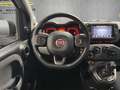 Fiat Panda Panda 4x4  5p   0.9 TwinAir Turbo S&S 85cv 6m WILD Beige - thumbnail 16