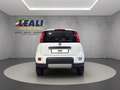 Fiat Panda Panda 4x4  5p   0.9 TwinAir Turbo S&S 85cv 6m WILD Beige - thumbnail 5