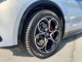Alfa Romeo Stelvio 2.2 210PS AT8 Q4 Veloce Grau - thumbnail 4