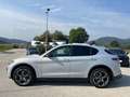Alfa Romeo Stelvio 2.2 210PS AT8 Q4 Veloce Grau - thumbnail 23