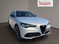 Alfa Romeo Stelvio 2.2 210PS AT8 Q4 Veloce Grau - thumbnail 20