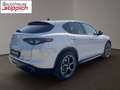 Alfa Romeo Stelvio 2.2 210PS AT8 Q4 Veloce Grau - thumbnail 16