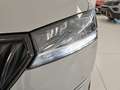 Skoda Fabia 1.0 tsi Twin Color Monte Carlo 110cv my19 Grigio - thumbnail 4