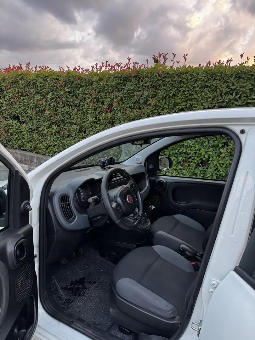 Fiat Panda 1.3 mjt 16v Lounge s&s 80cv my19 - 1