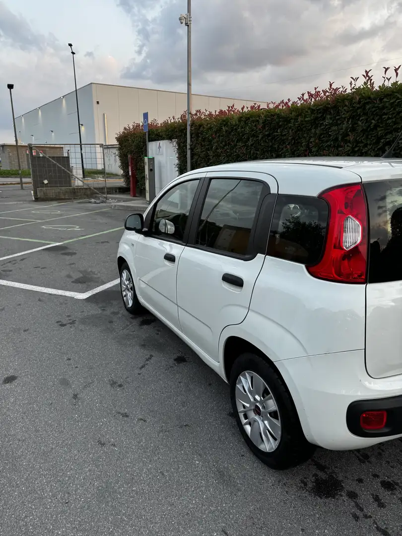 Fiat Panda 1.3 mjt 16v Lounge s&s 80cv my19 - 2