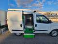 Fiat Doblo 1.6 MJT 105CV S&S PC CARGO ALLESTITO OFFICINA Blanc - thumbnail 5