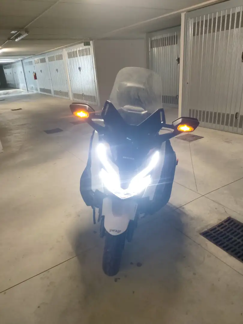 Honda Forza 300 Bianco - 2