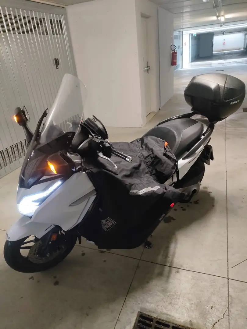Honda Forza 300 Bianco - 1