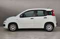 Fiat Panda FIAT Panda 1.3 MJT 95 CV S&S Easy Blanc - thumbnail 9