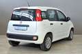 Fiat Panda FIAT Panda 1.3 MJT 95 CV S&S Easy Blanc - thumbnail 6