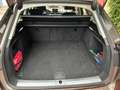 Audi A4 A4 Avant 1.4 TFSI Brun - thumbnail 11